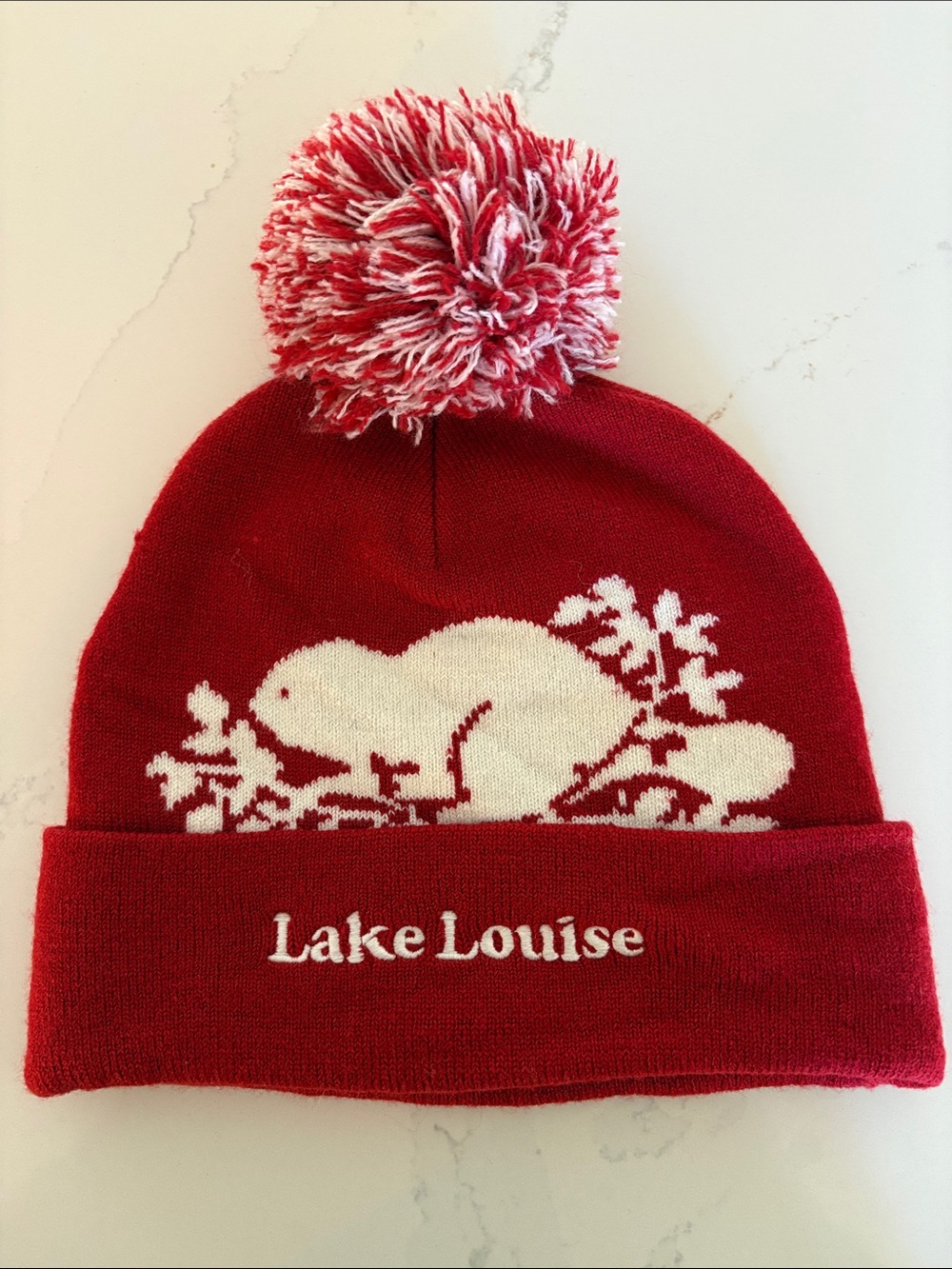 Roots Unisex Lake Louise Red Pom Pom Beanie Tuque Hat